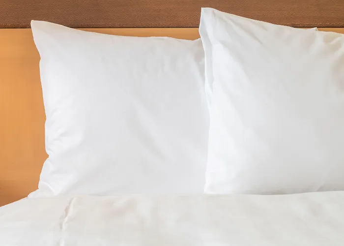 Holiday Inn Express Frankfurt Airport - Raunheim By Ihg